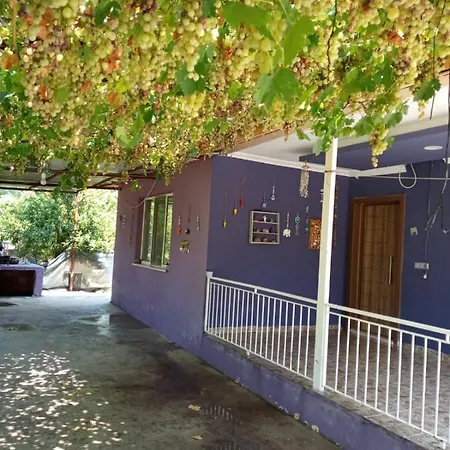 Tatilinizin Yeni Evi
