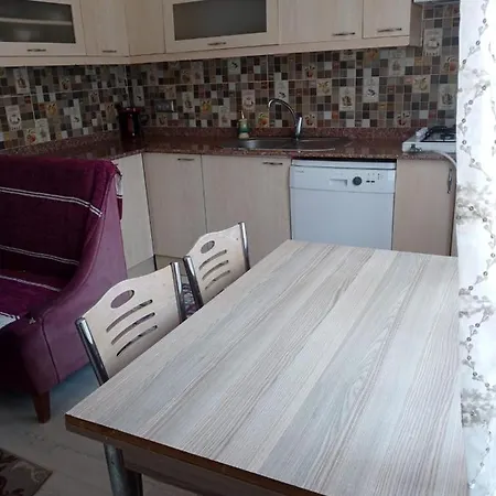 Tatilinizin Yeni Evi Ortaca (Mugla)