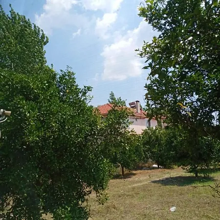 Tatilinizin Yeni Evi Ortaca (Mugla)